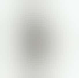 BLUEBERRY RUNTZ - 1G PR