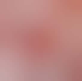 MANGO JACK - INF PR - 1.2G