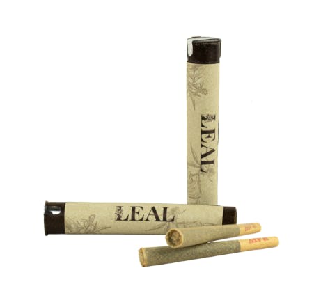 CHOCOLATE BERRY - PR - 1G