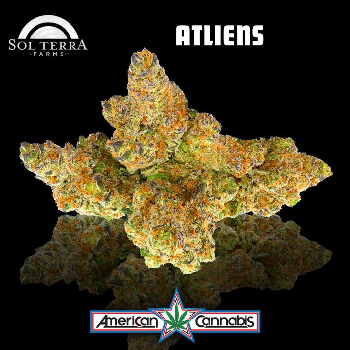 [Flower] Sol Terra ATLiens 14g [Hybrid]
