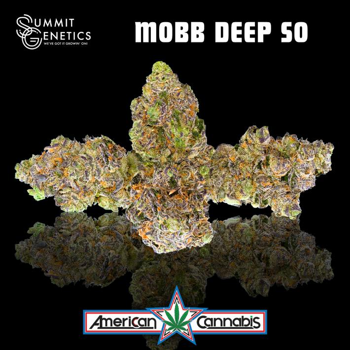 [Flower] Summit Genetics Mobb Deep SO 14g [Indica]