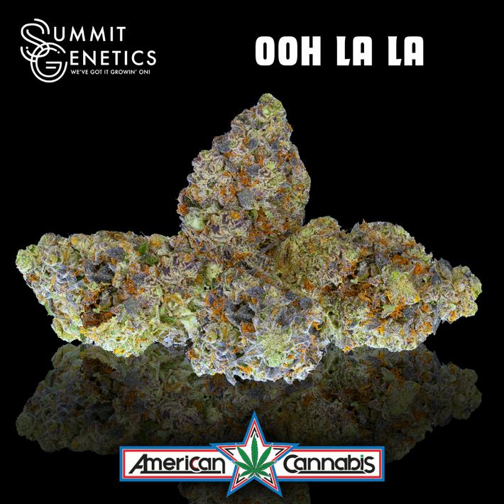 [Flower] Summit Genetics Ooh La La 3.5g [Indica]