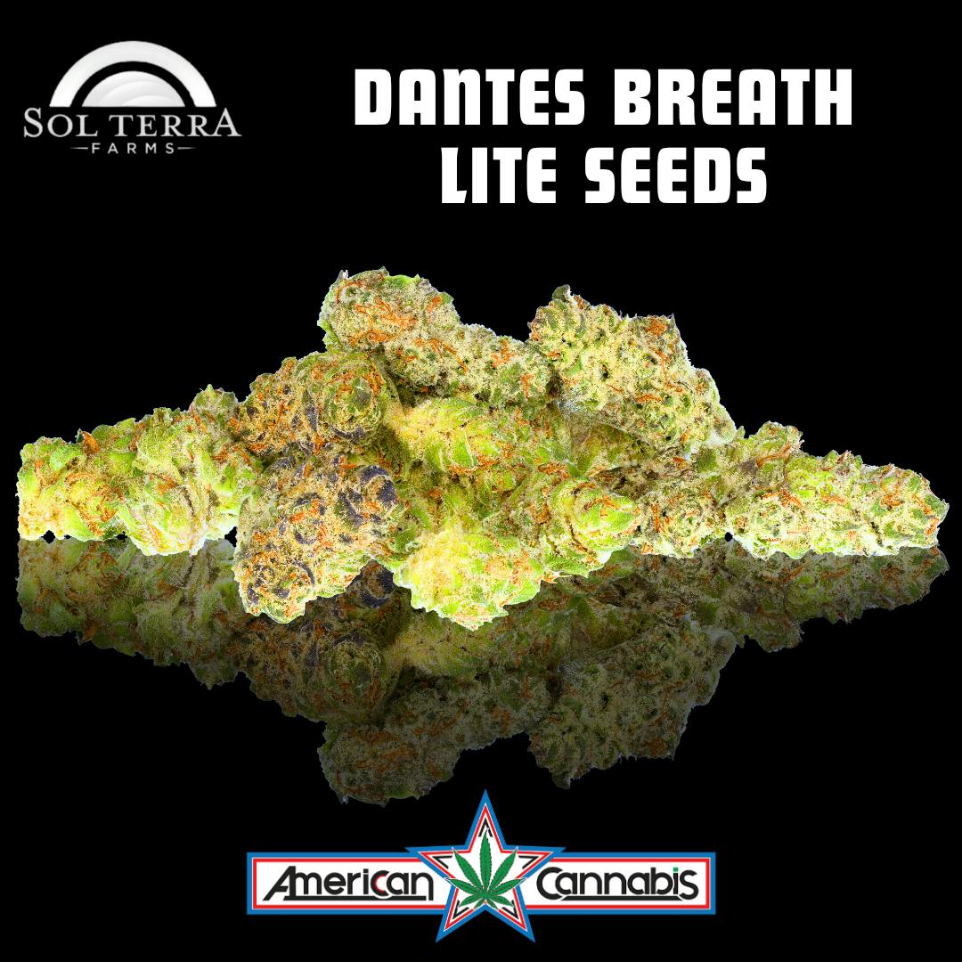 Terra Dantes Breath Lite Seeds
