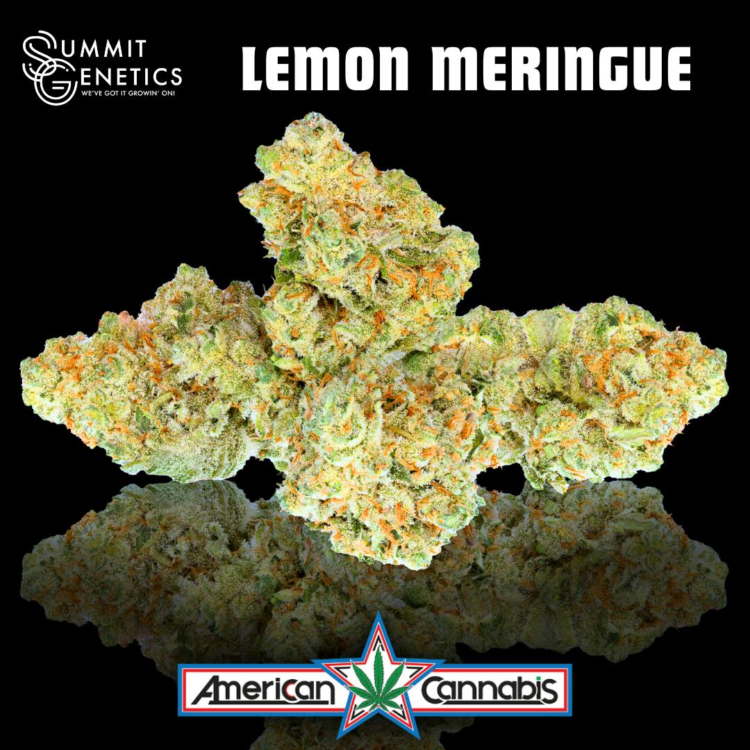 Lemon Meringue