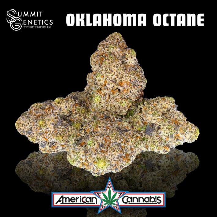 [Flower] Summit Genetics Oklahoma Octane 14g [Hybrid]