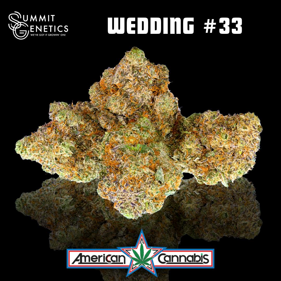 Wedding #33