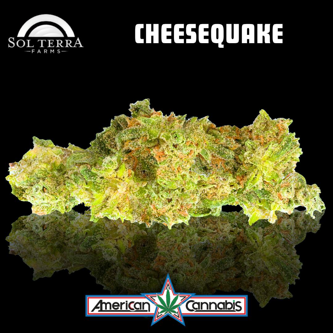 [Flower] Sol Terra Cheesequake 3.5g [Hybrid]
