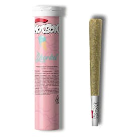 HOTBOX | ICE CREAM SHERBET - 1G PREROLL