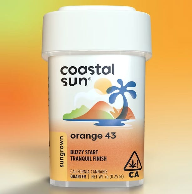 Orange 43 Infused 7G
