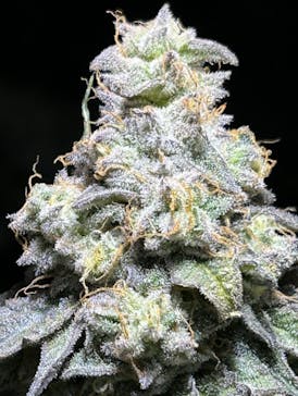 Sour Magic Flower