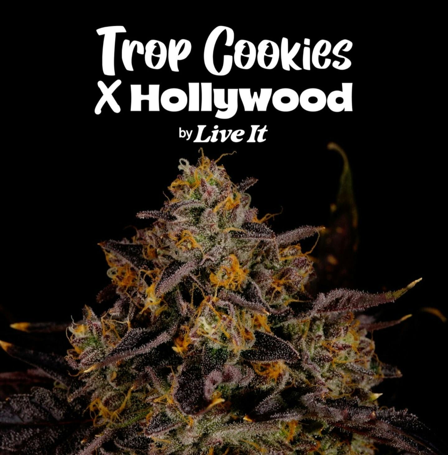 Buds Trop Cookies Hollywood