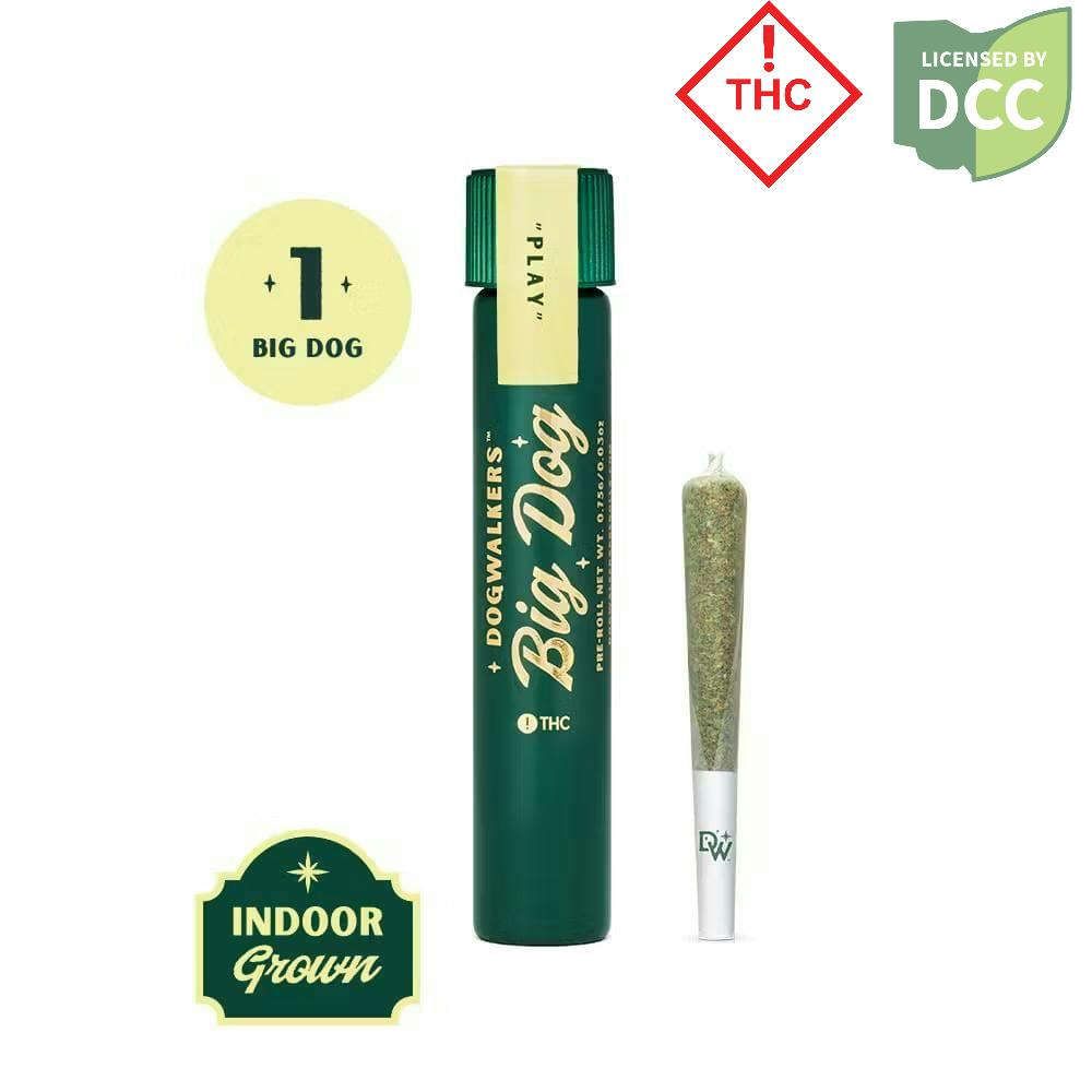 Dogwalker | Jack's Delight | Sativa | .75g Pre-roll