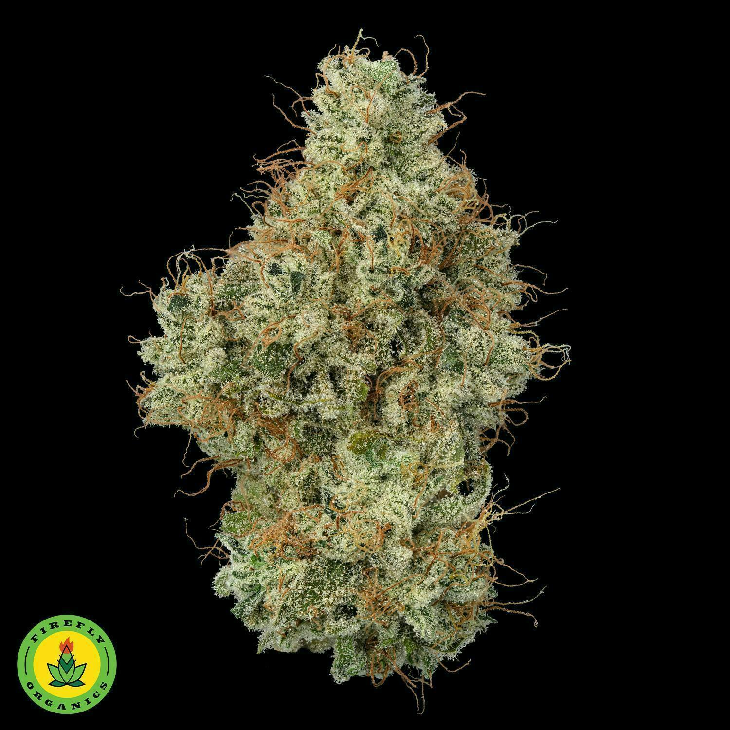Albarino Flower | Sativa | Firefly Organics