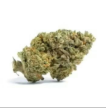 Watermelonz x Gak | Big Buds | 3.54g