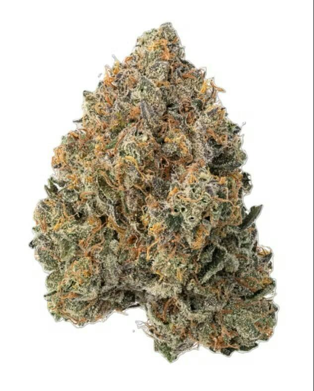 Super Silver Haze x Gelato 1 | Big Buds | 3.54g