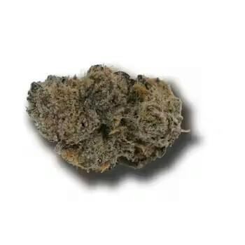Yogurt Dip 1/8th