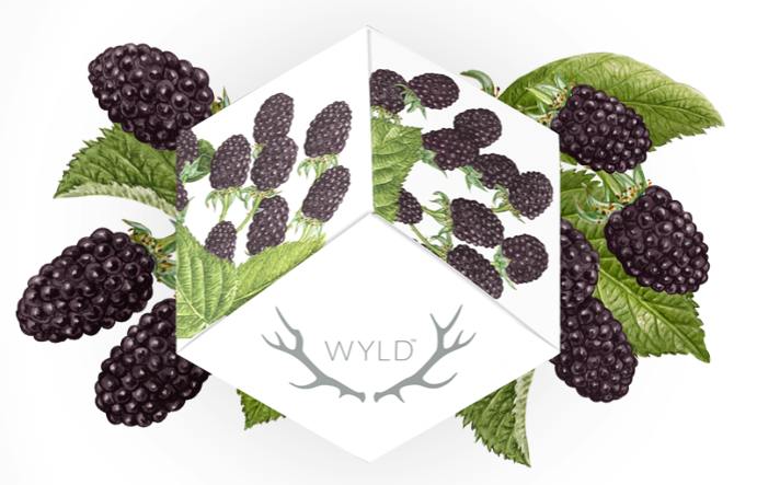 Marionberry Indica Enhanced Gummies | 200mg | 10ct | 20mg/ea