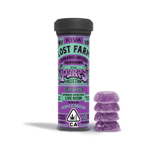 Grape LIVE Resin Gummies - 100 mg - 10 Pack