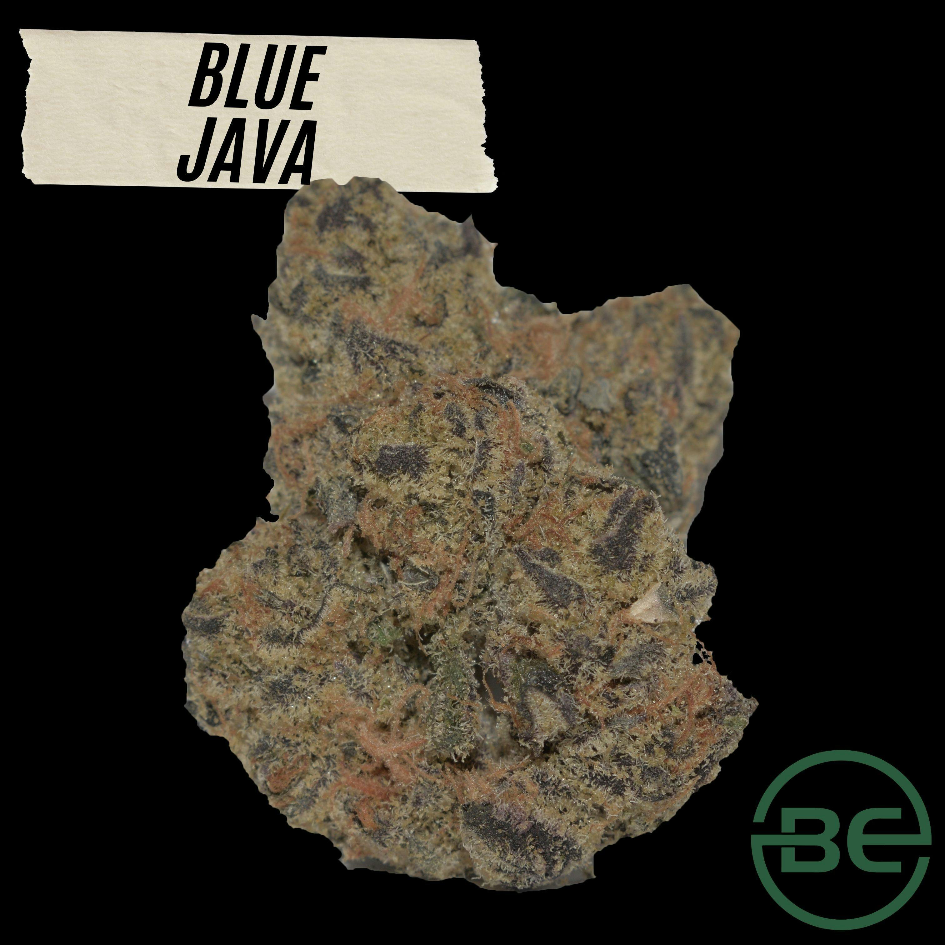 Be Cultivation Blue Java