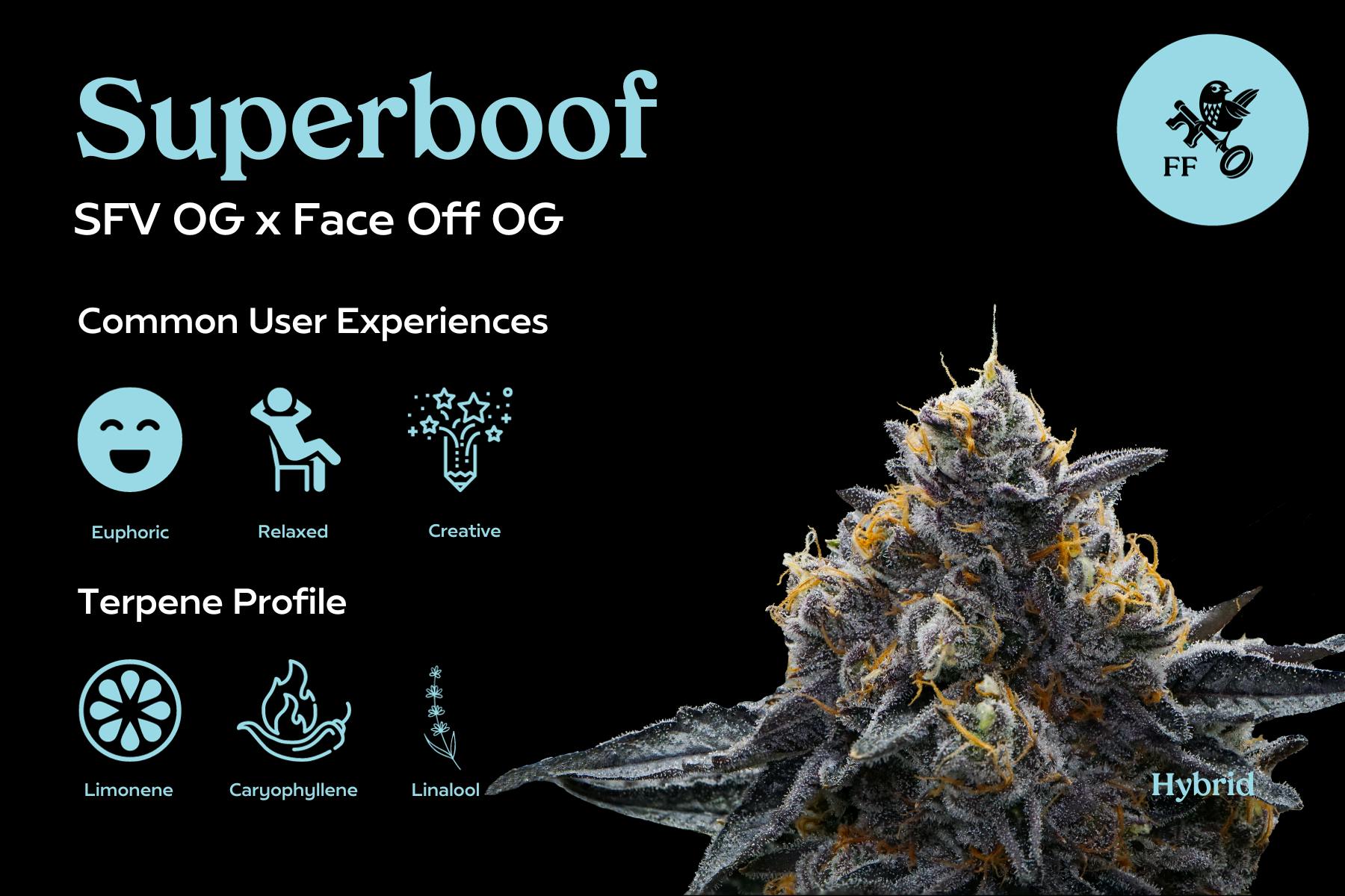 Franklin Fields SuperBoof Bulk Flower