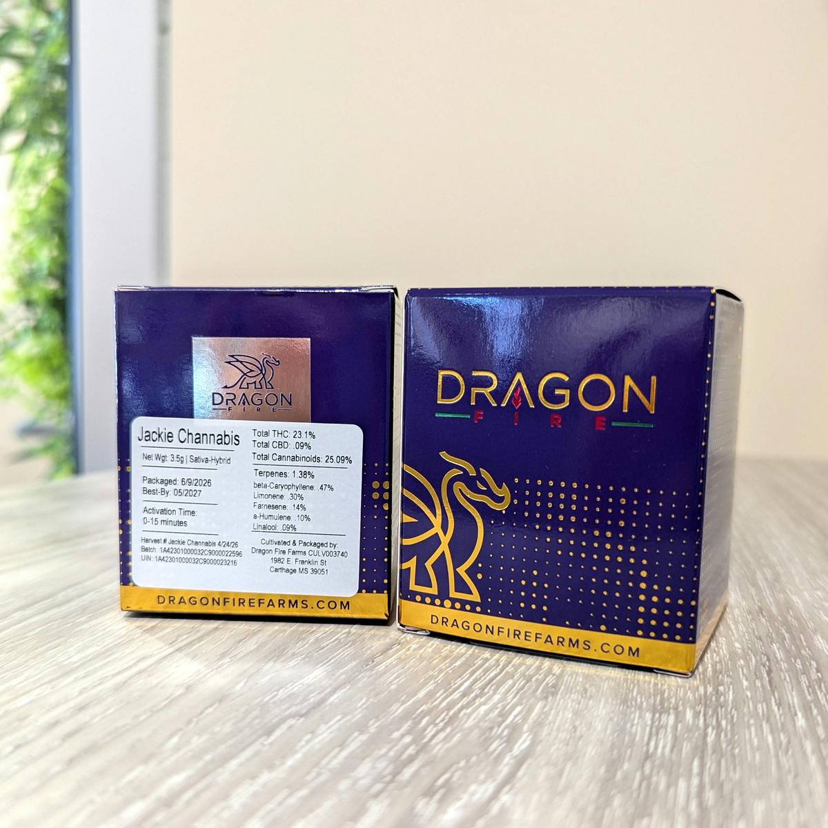 Dragon Fire Jackie Channabis