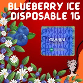 Blueberry Ice 1g Disposable