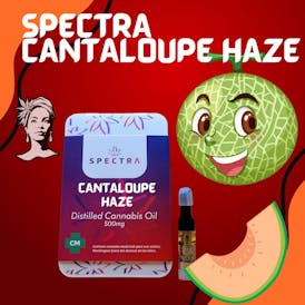 Cantaloupe Haze Dist. Cart .5g
