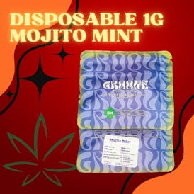 Mojito Mint 1g Disposable