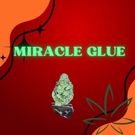 Miracle Glue