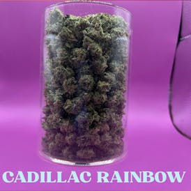 Cadillac Rainbow