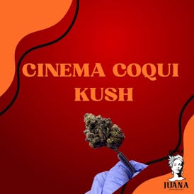 Cinema (Coqui) Kush