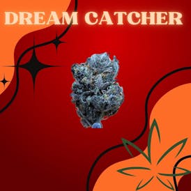 Dream Catcher