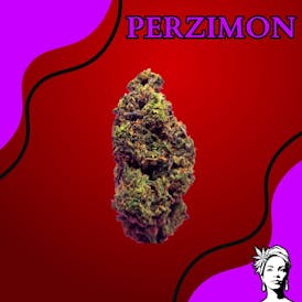 Perzimmon
