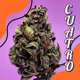 CUATRO (OUTDOOR)
