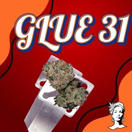 Glue 31