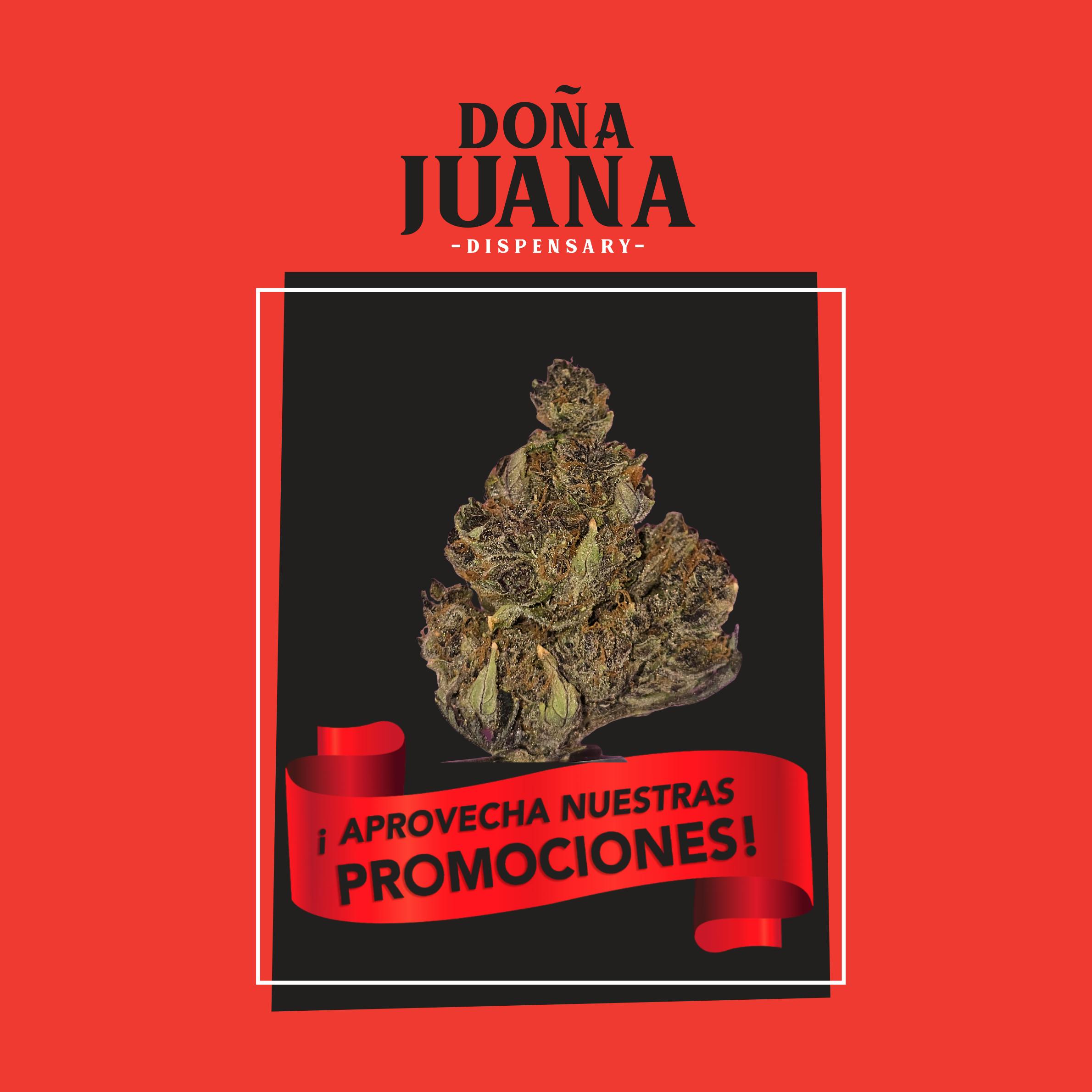 Button THC 23.24% (PRE 420 SPECIAL+)