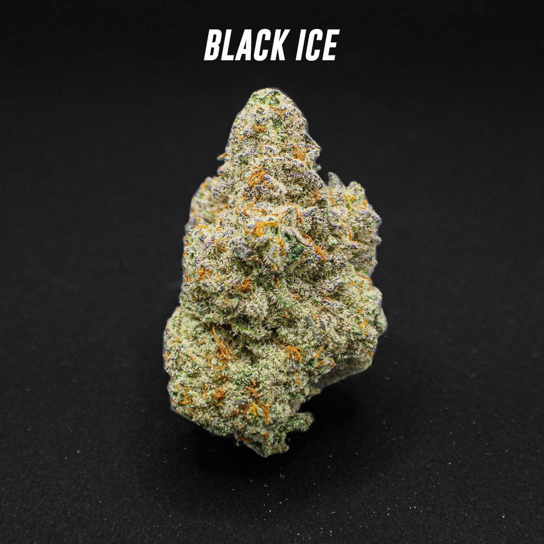 Black Ice - Bulk