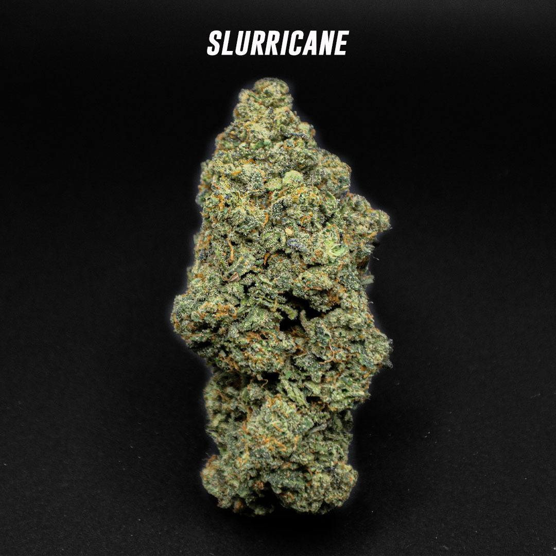 Slurricane - Bulk