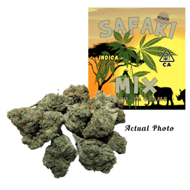 Safari Mix 28 Grams Mix of Premium Indica Flower