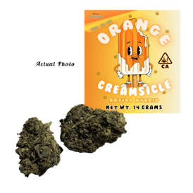 Orange Creamsicle 14 Grams Premium Sativa Hybrid Flower Top Shelf