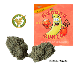 Banana Punch 14 Grams Premium Hybrid Flower