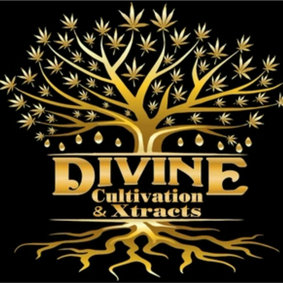Divine Cultivation & Xtracts - FECO Syringe 1000mg