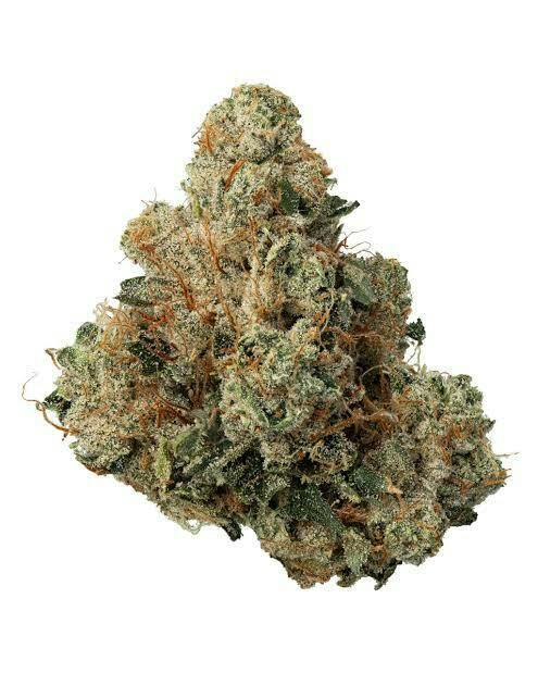 Geezz: Skywalker OG