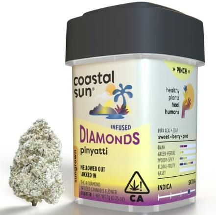 Coastal Sun | Pinyatti | Infused Sungrown Flower | 7g