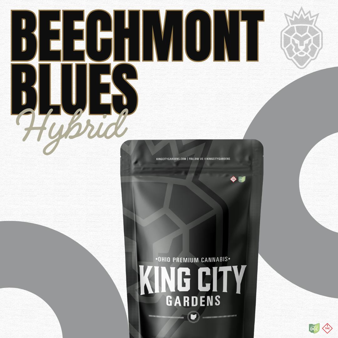 Beechmont Blues - 14.15g by King City Gardens