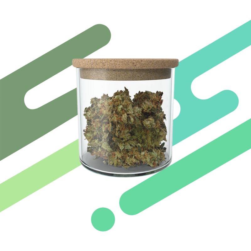 House Pick - CAP Junky (CGL)