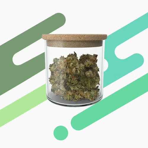 House Pick - Sherbert (CGL)