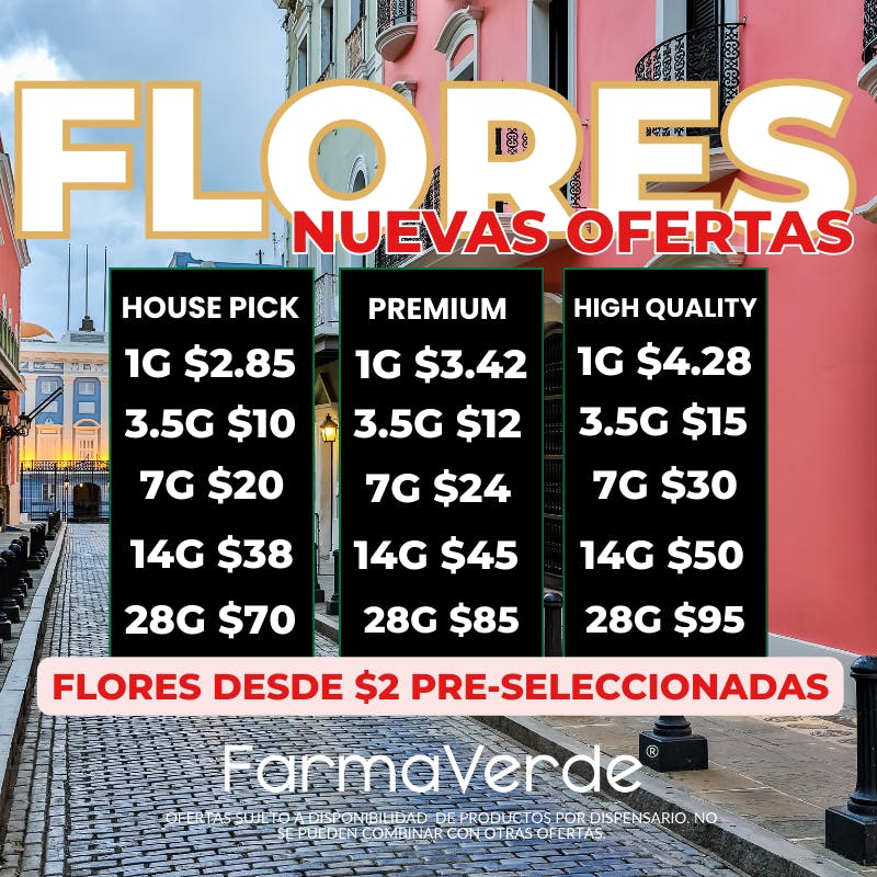Oferta FLORES!