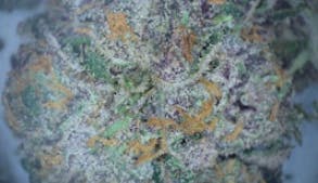 Pre-Roll Lemon Cherry Gelato - TERPS 2.0%