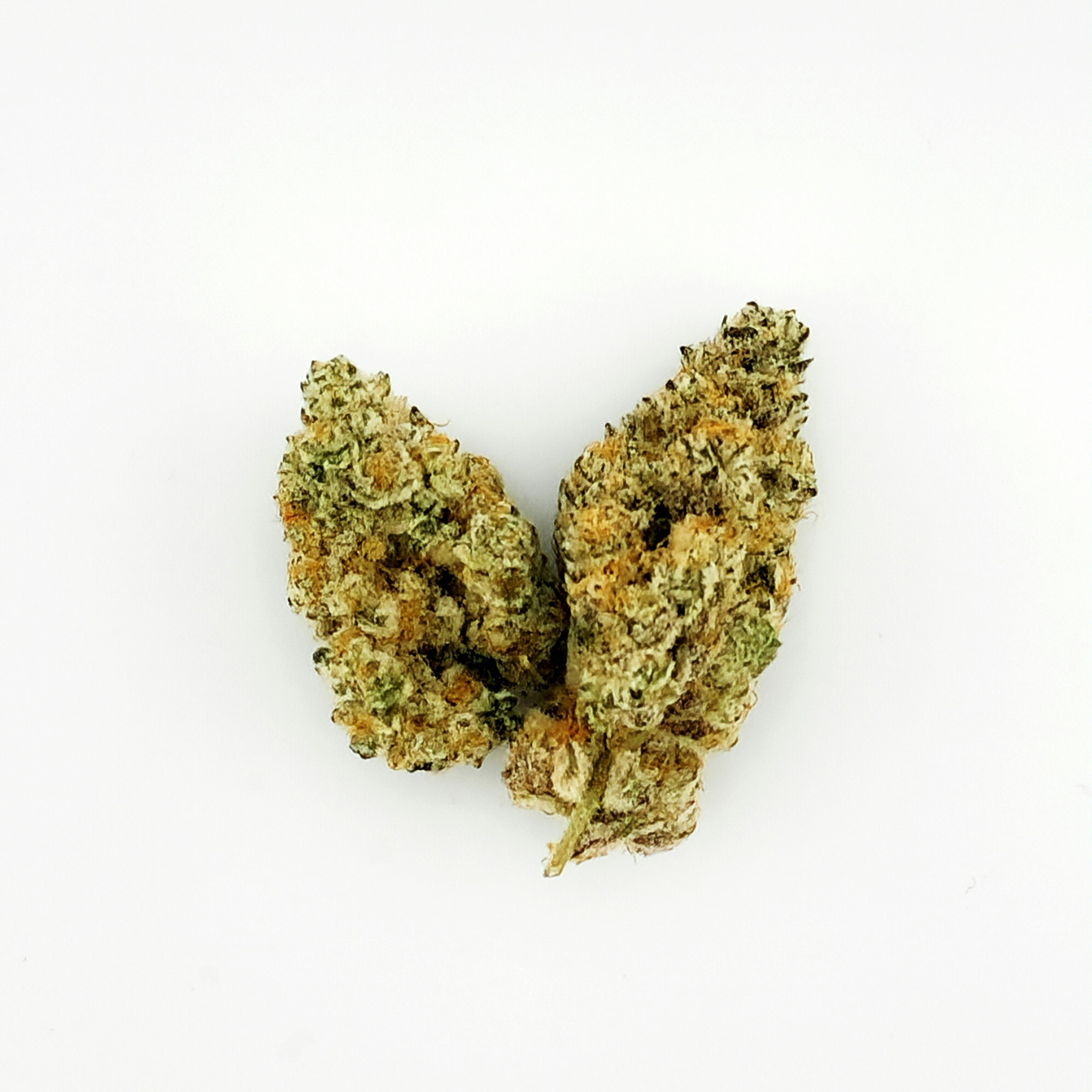 Jungle Pie